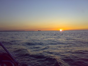 23062009821