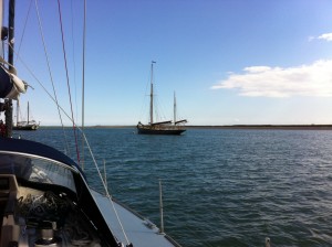 IMG_3531