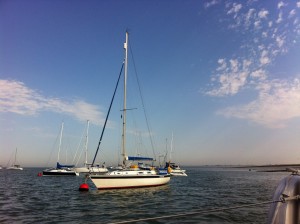 IMG_4118