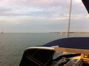 IMG_4130