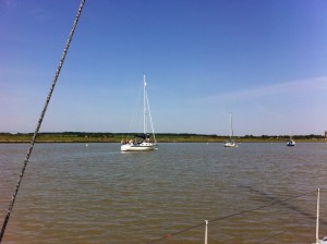 IMG_4185