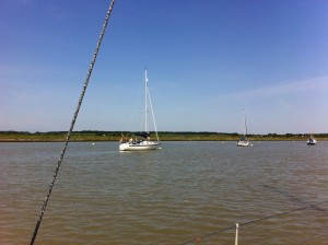 IMG_4186