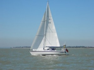 IMG_4229
