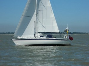 IMG_4230