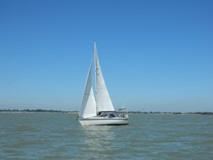 IMG_4231