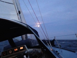 IMG_4438