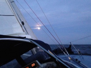 IMG_4440