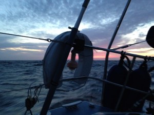 IMG_4443