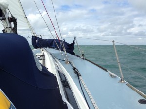 IMG_4471