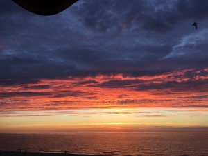 IMG_0099