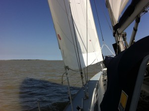 IMG_4240