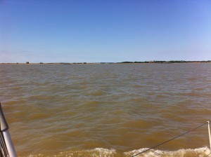 IMG_4244