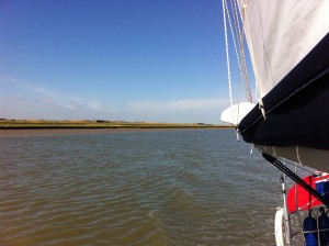 IMG_4245