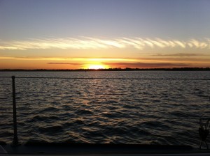 IMG_4260