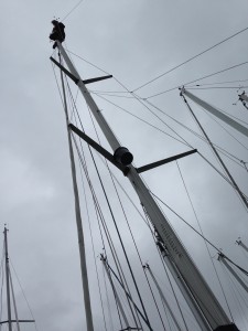 IMG_4831