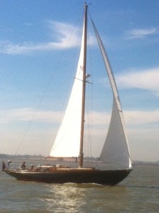 photo (13)