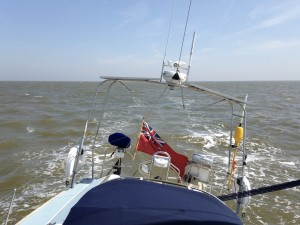 IMG_5425