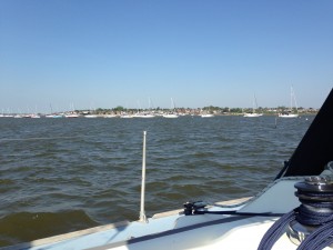 IMG_5426