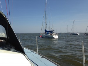 IMG_5427