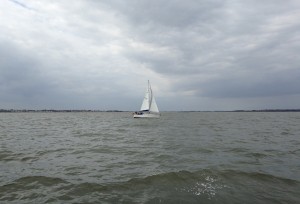 IMG_5459
