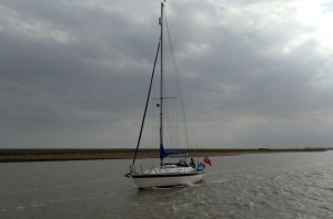 IMG_5463