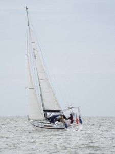dscf3528
