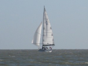 img_7562