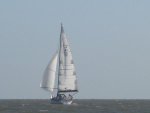 img_7563