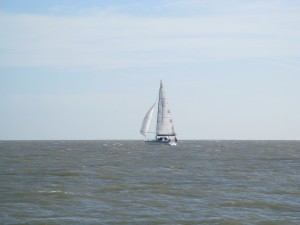 img_7564