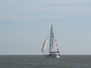 img_7567