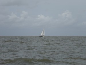 A little more wind SE of the Cork Sands