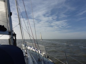 p1000749